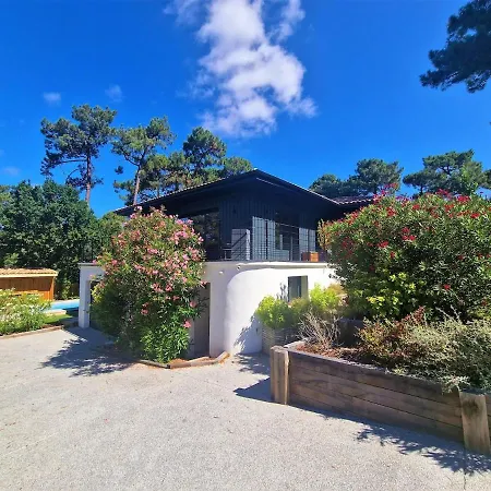 Villaluxe 10-12 People Pool Pool House Cinema Fiber La Teste-de-Buch